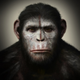 Illustration for article titled Life of the Apes Revealed in emDawn of the Planet of the Apes/em Concept Art